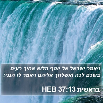 בראשית 37:13 HEB Bible Verse Image