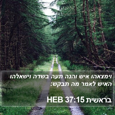 בראשית 37:15 HEB Bible Verse Image