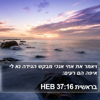 בראשית 37:16 HEB Bible Verse Image