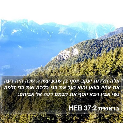 בראשית 37:2 HEB Bible Verse Image