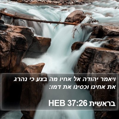 בראשית 37:26 HEB Bible Verse Image