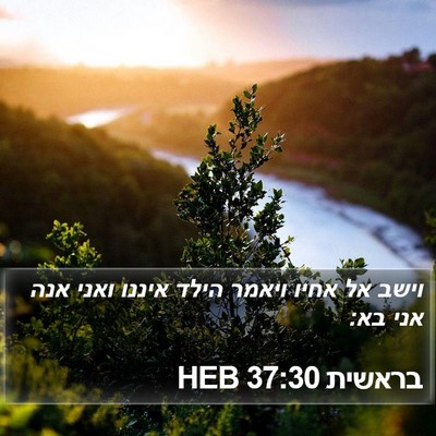 בראשית 37:30 HEB Bible Verse Image