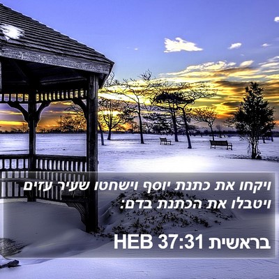בראשית 37:31 HEB Bible Verse Image