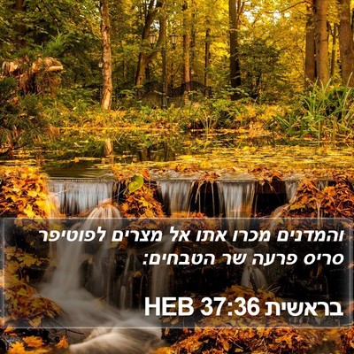 בראשית 37:36 HEB Bible Verse Image