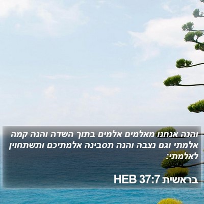 בראשית 37:7 HEB Bible Verse Image