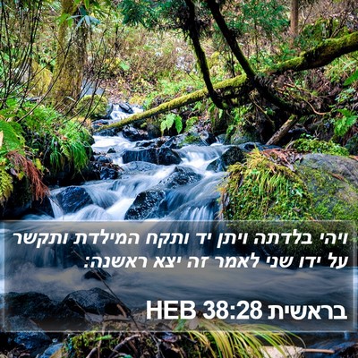 בראשית 38:28 HEB Bible Verse Image
