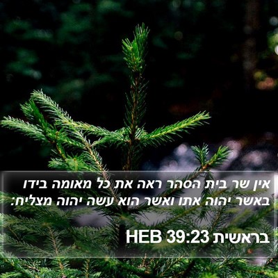 בראשית 39:23 HEB Bible Verse Image
