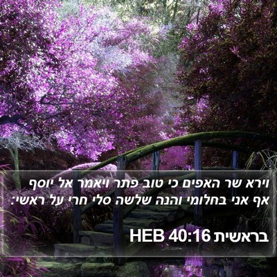 בראשית 40:16 HEB Bible Verse Image
