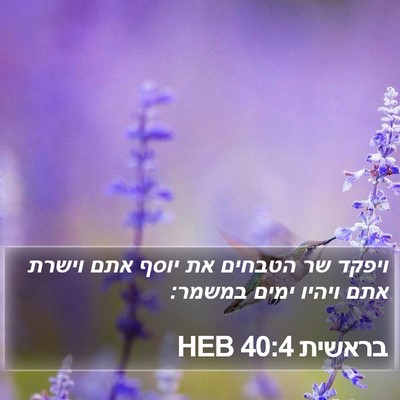 בראשית 40:4 HEB Bible Verse Image