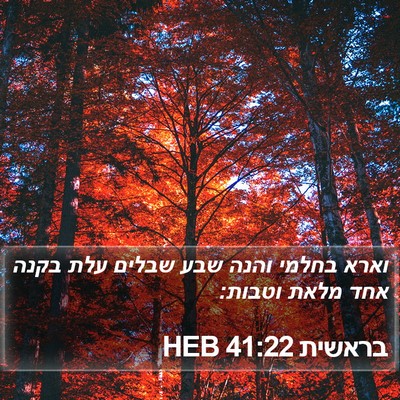 בראשית 41:22 HEB Bible Verse Image