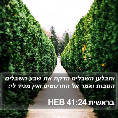 בראשית 41:24 HEB Bible Verse Image