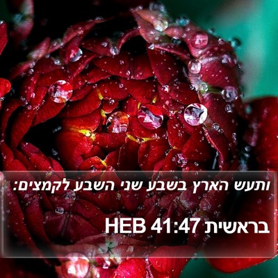 בראשית 41:47 HEB Bible Verse Image