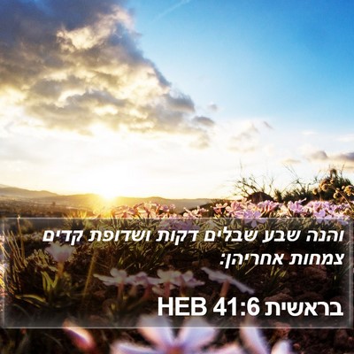 בראשית 41:6 HEB Bible Verse Image