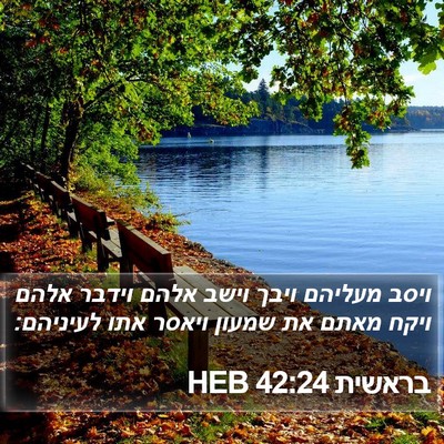 בראשית 42:24 HEB Bible Verse Image