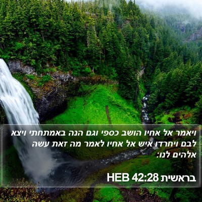 בראשית 42:28 HEB Bible Verse Image