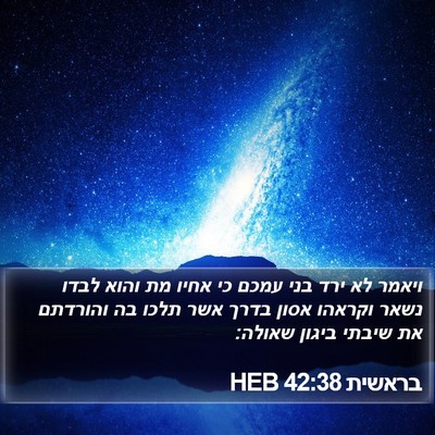 בראשית 42:38 HEB Bible Verse Image