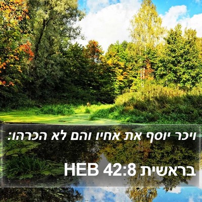 בראשית 42:8 HEB Bible Verse Image