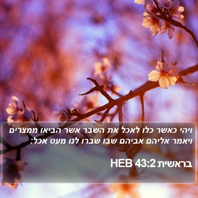 בראשית 43:2 HEB Bible Verse Image