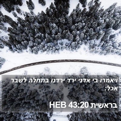 בראשית 43:20 HEB Bible Verse Image