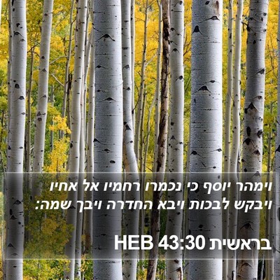 בראשית 43:30 HEB Bible Verse Image
