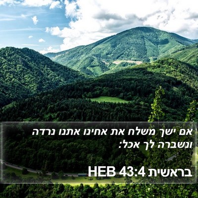 בראשית 43:4 HEB Bible Verse Image