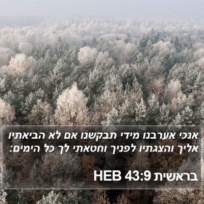 בראשית 43:9 HEB Bible Verse Image