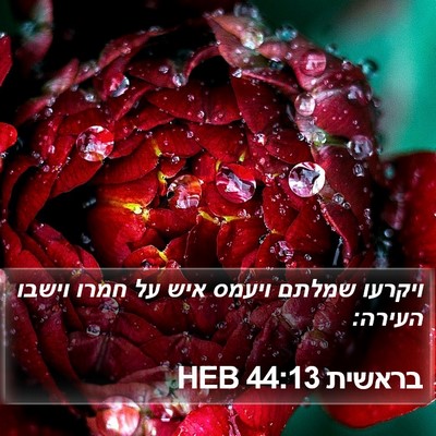 בראשית 44:13 HEB Bible Verse Image