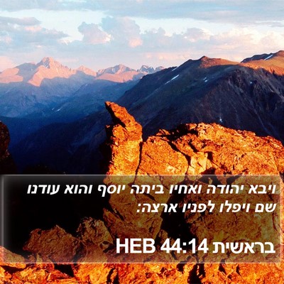 בראשית 44:14 HEB Bible Verse Image