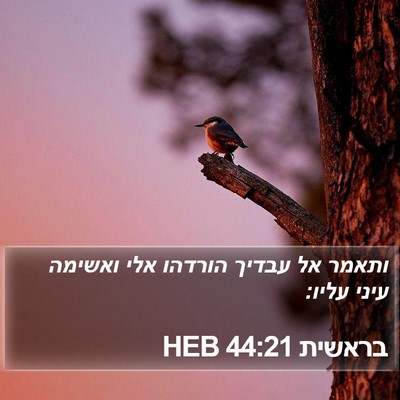 בראשית 44:21 HEB Bible Verse Image