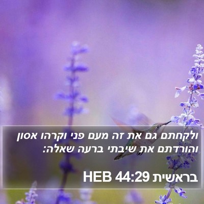 בראשית 44:29 HEB Bible Verse Image