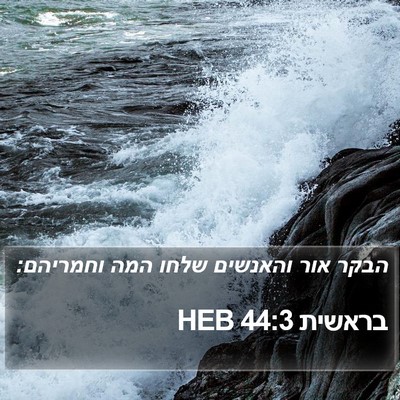 בראשית 44:3 HEB Bible Verse Image