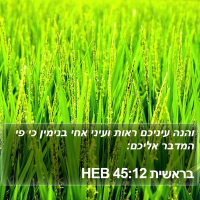 בראשית 45:12 HEB Bible Verse Image
