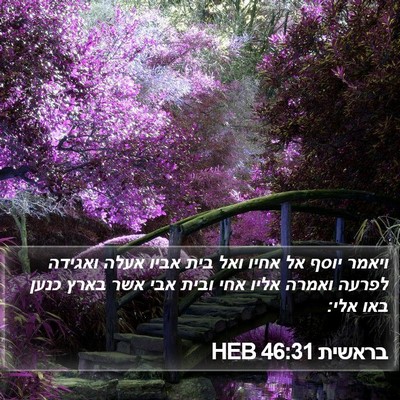 בראשית 46:31 HEB Bible Verse Image