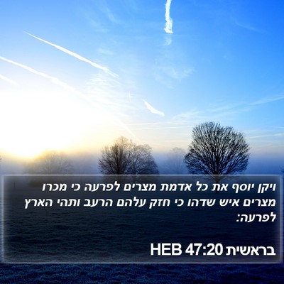 בראשית 47:20 HEB Bible Verse Image