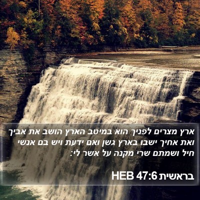 בראשית 47:6 HEB Bible Verse Image