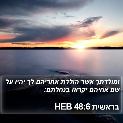 בראשית 48:6 HEB Bible Verse Image