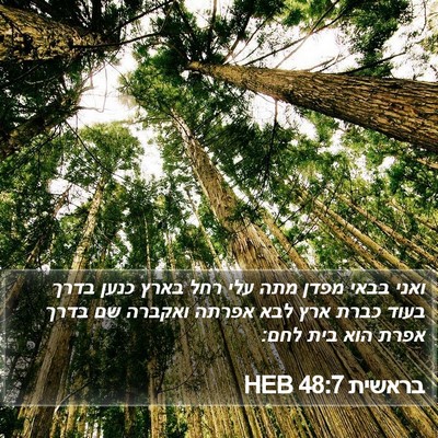 בראשית 48:7 HEB Bible Verse Image