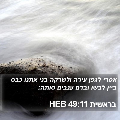 בראשית 49:11 HEB Bible Verse Image