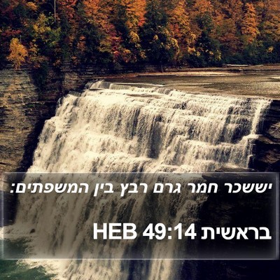 בראשית 49:14 HEB Bible Verse Image