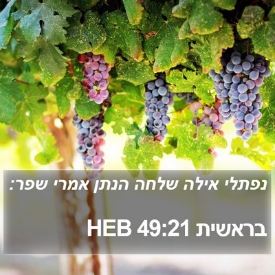 בראשית 49:21 HEB Bible Verse Image