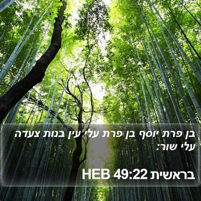 בראשית 49:22 HEB Bible Verse Image