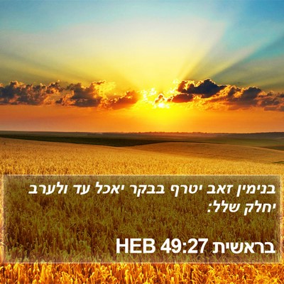 בראשית 49:27 HEB Bible Verse Image