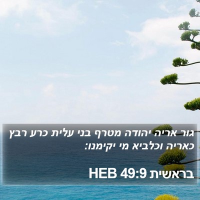 בראשית 49:9 HEB Bible Verse Image