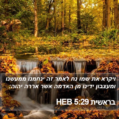 בראשית 5:29 HEB Bible Verse Image