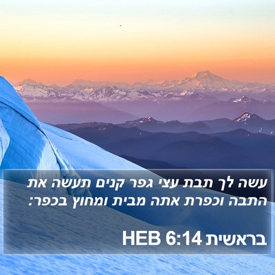 בראשית 6:14 HEB Bible Verse Image