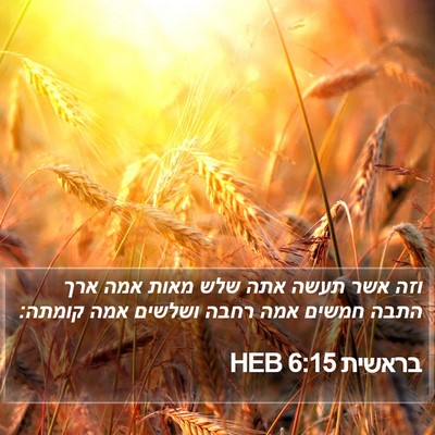 בראשית 6:15 HEB Bible Verse Image