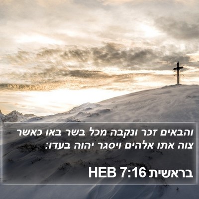 בראשית 7:16 HEB Bible Verse Image