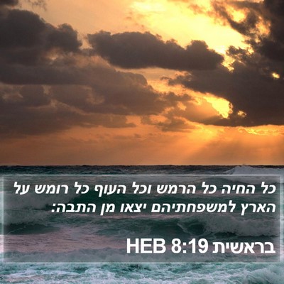 בראשית 8:19 HEB Bible Verse Image