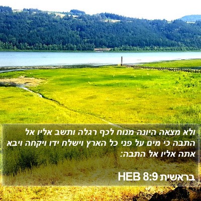 בראשית 8:9 HEB Bible Verse Image