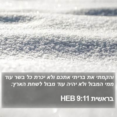 בראשית 9:11 HEB Bible Verse Image